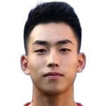 J. Liu