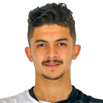 M. Belloumi