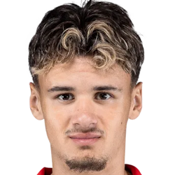 صورة اللاعب كريم الاجبيجوفيتش