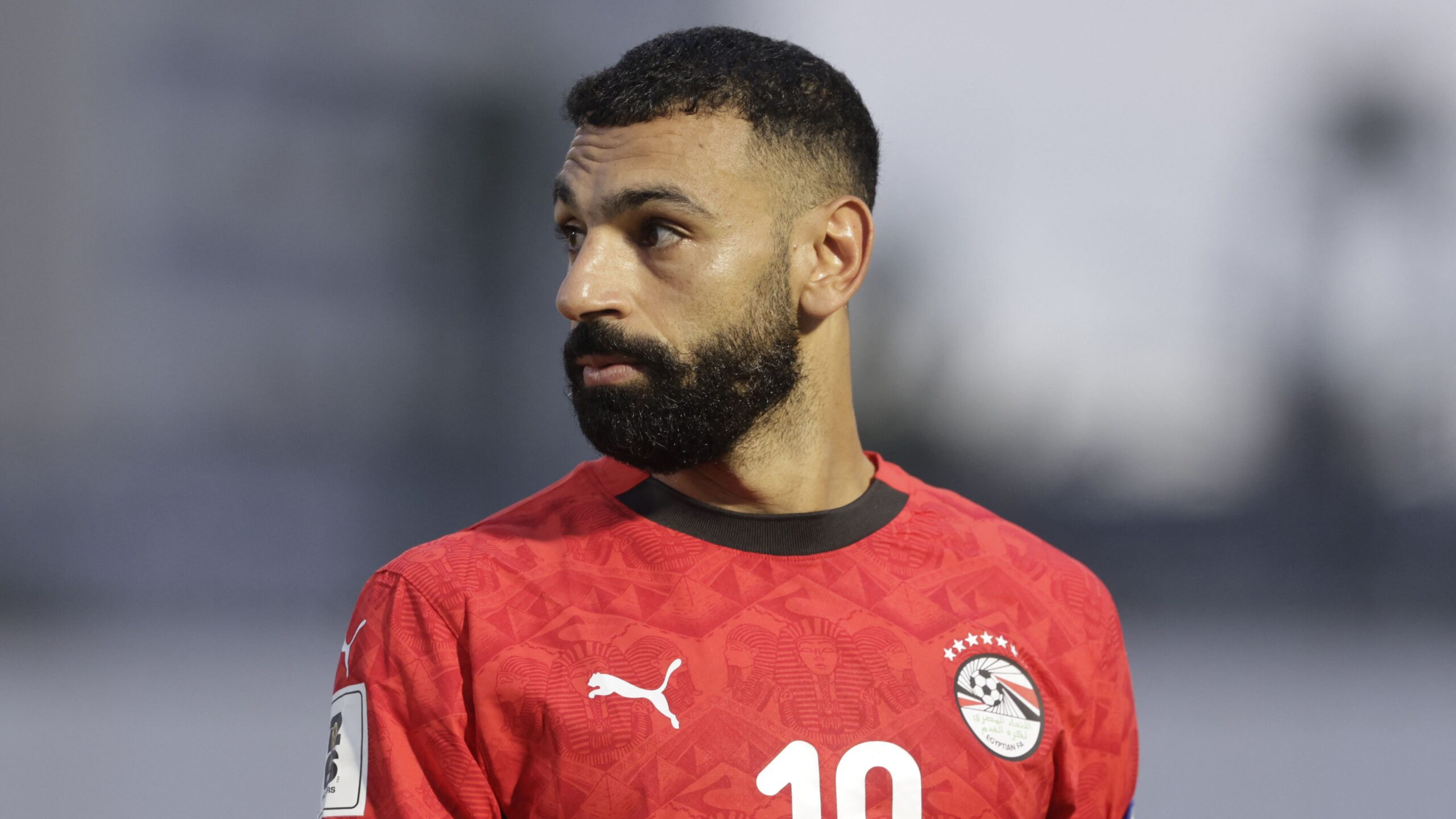 توقف.. منتخب مصر يحسم موقف محمد صلاح من مباراة غينيا بيساو
 لاليغا