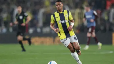 ألكسندر دجيكو كان قريبًا من نانت، لكن!
ستاديوم بوست