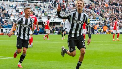 كيف تكيف فريق نيوكاسل وولتيماد مع الدوري الإنجليزي الممتاز؟
ستاديوم بوست