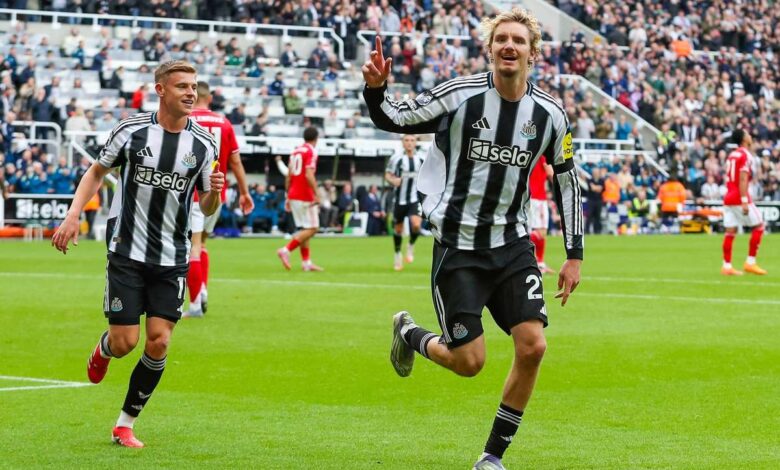 كيف تكيف فريق نيوكاسل وولتيماد مع الدوري الإنجليزي الممتاز؟
ستاديوم بوست