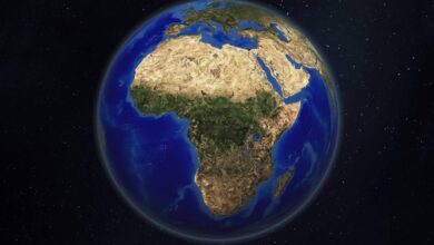 لقد أصبح كأس الأمم الأفريقية أكبر من أن نتجاهله: عدم القدرة على التنبؤ والدراما والنجوم على مستوى النخبة