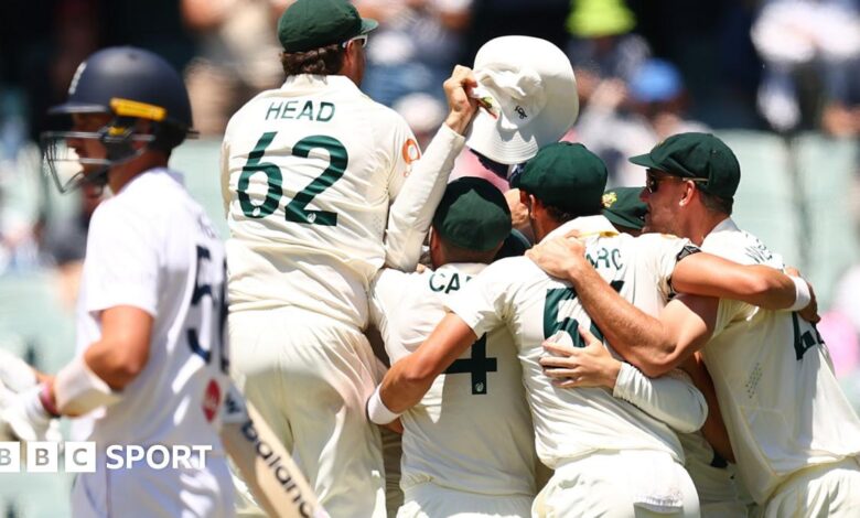 Mitchell Starc celebrates a wicket