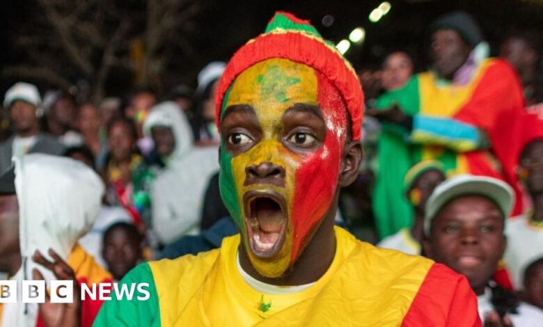 النشوة والآن يوم عطلة - يحتفل مشجعو السنغال في جميع أنحاء العالم بفوزهم بكأس الأمم الأفريقية